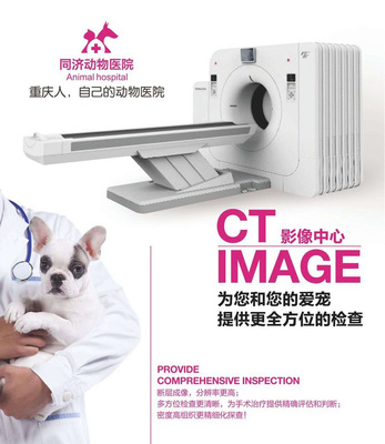 同一同济动物医院