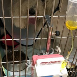 佩仕动物诊疗医院详细信息 电话、地址、价格与营业时间