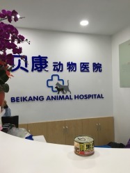 贝康动物医院(长宁店) 一家值得信赖的动物医院