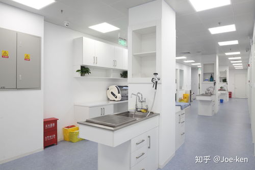 打造一家有吸引力的动物医院 从功能到情感的全面设计