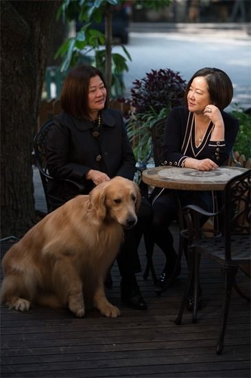 28载仁心守护，顽皮家族动物医院为“毛孩子”健康保驾护航